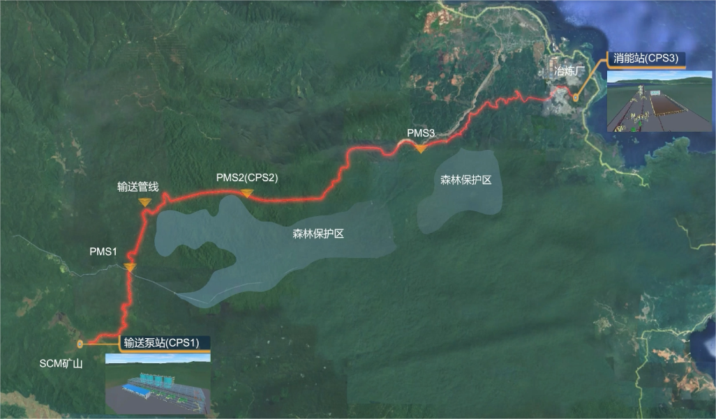 ��˳����-�����ս���ʵ,�𾢳ɼ�δ��!