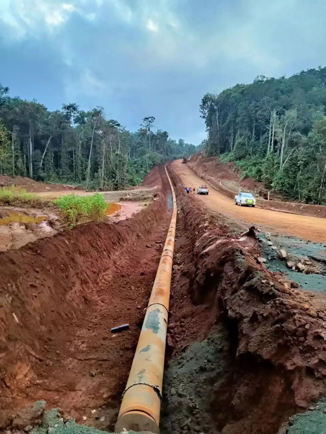 ��˳����-�����ս���ʵ,�𾢳ɼ�δ��!