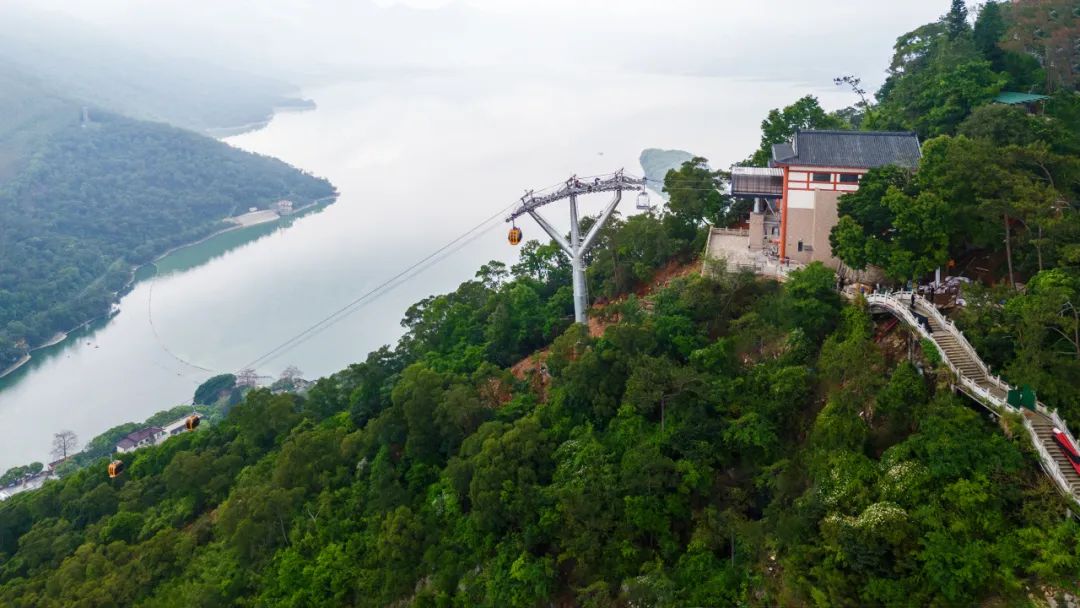 Ìì˳ÓéÀÖ-ÃÎÏëÕÕ½øÏÖʵ,Æð¾¢³É¼¨Î´À´!